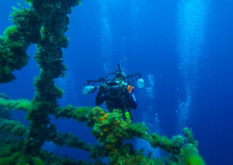 Best Underwater Compact Cameras