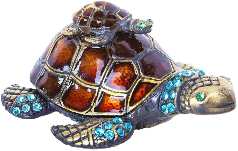 40 Best Turtle Gifts
