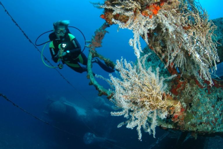 Top 10 Scuba Diving Places in Caribbean Islands