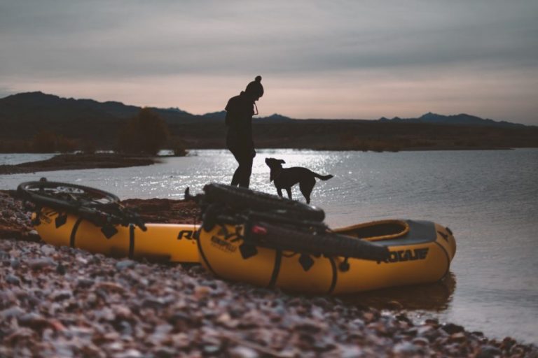 The Complete Guide to Canoeing and Kayaking with Dogs