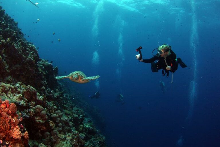 exploring cayman brac s underwater wonders